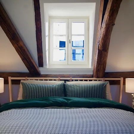 In Swiss Spalenberg University Loft Apartment *